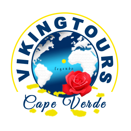 Tours and Shore Excursions Logo
